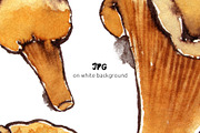 Chanterelles Watercolor Pattern, a Pattern Graphic by Mazheika Store (Thumbnail 3 of 5)