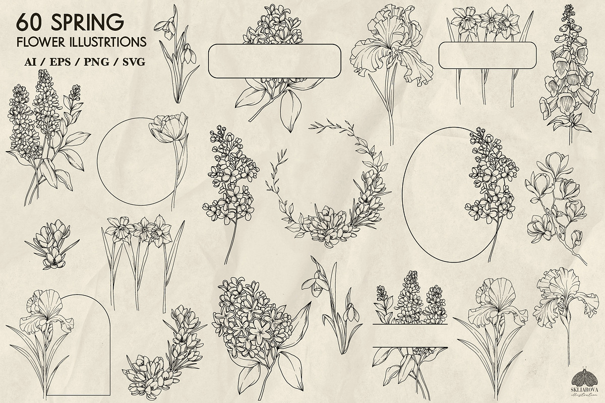 Spring flowers line art + Procreate, a Decorative Illustration by Skliarova (Photo 4 of 4)
