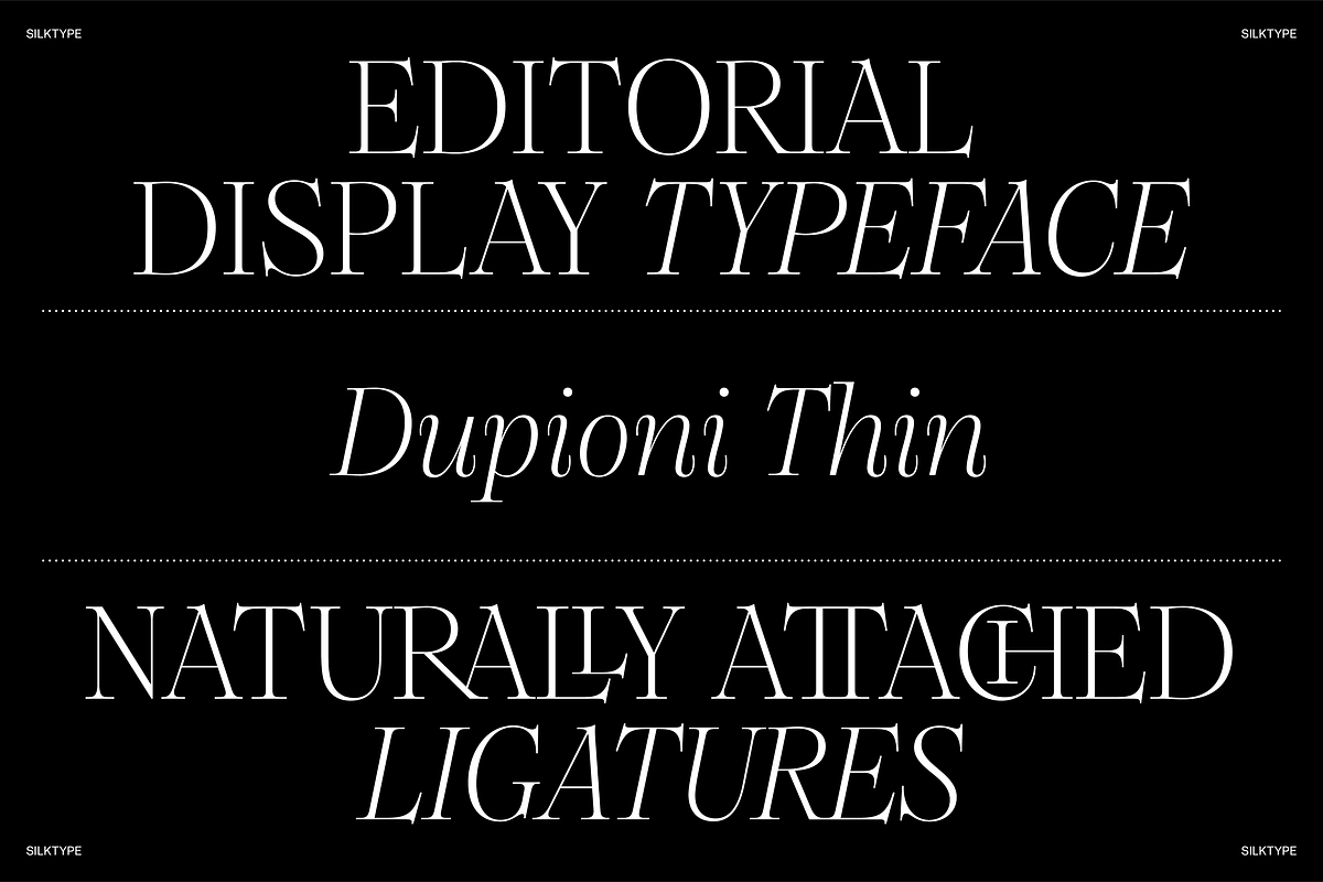 Dupioni Thin - Ligature Serif, a Serif Font by Silktype (Photo 2 of 20)