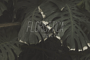 Fontember 12in1 Font Bundle, a Handwritten Font by Alexander Tiunov (Thumbnail 5 of 67)