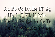 Pine Tall serif font, a Serif Font by TNE Designs (Thumbnail 2 of 5)