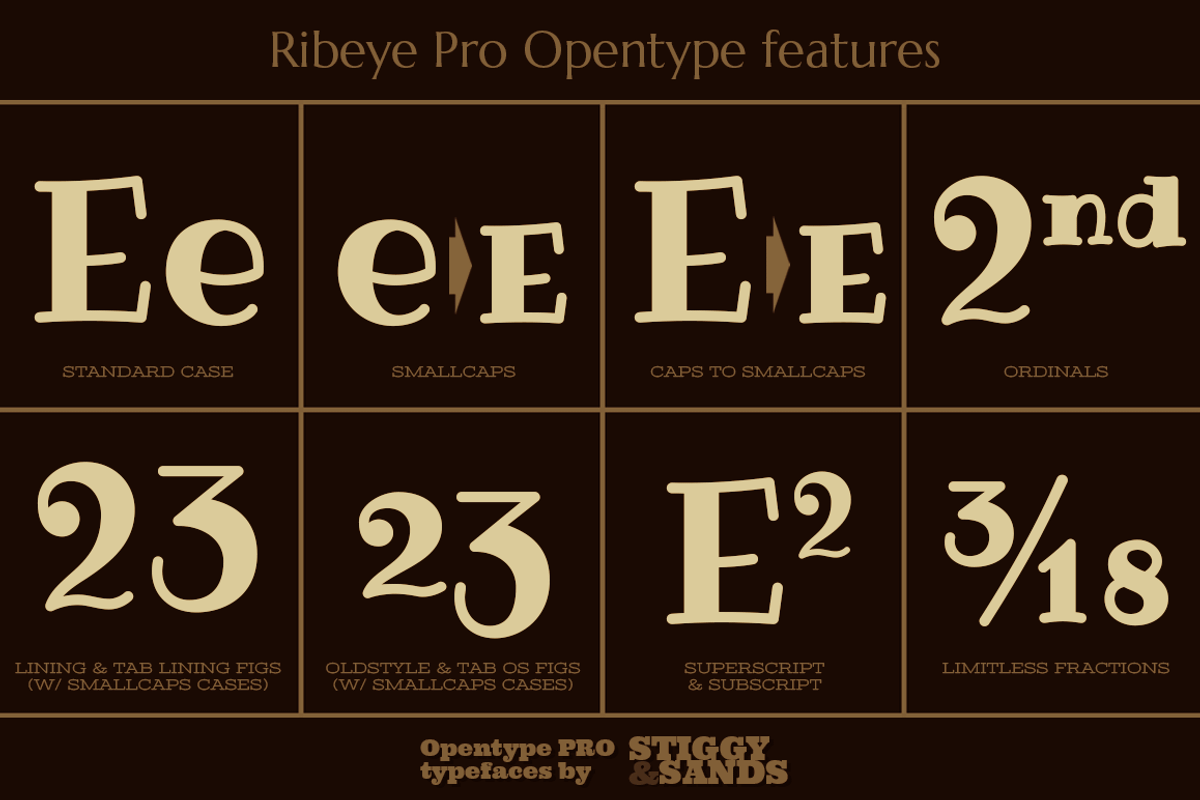 Ribeye Pro Family preview 4