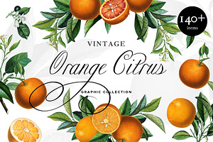 Vintage Orange Citrus Collection