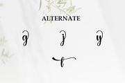 Anything | Script Font, a Handwritten Font by Scratchones (Thumbnail 8 of 9)