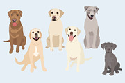 Labrador Retriever Vector Clip Art, an Illustration by Putnam Road Art (Thumbnail 3 of 3)