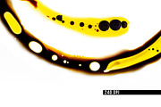 Inky Oils, a Texture Graphic by KAT (Thumbnail 3 of 10)