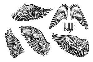 Vector Wings