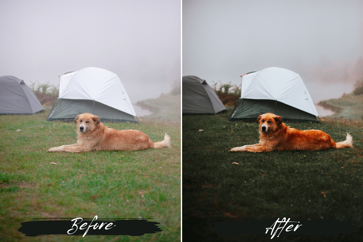 10 Moody Green Lightroom Presets, a Preset Add-On by MEPRESETS (Photo 9 of 9)