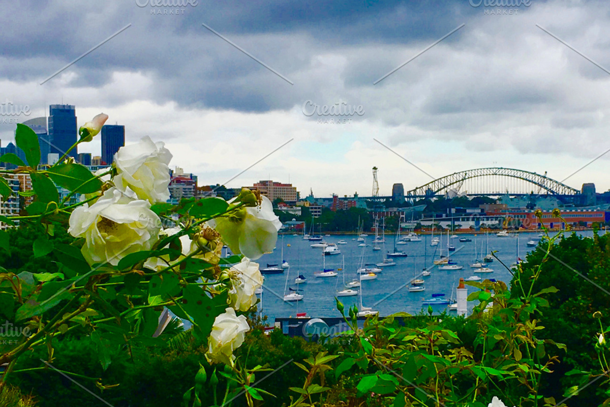 Sydney Summer Instagram Bundle, a Photo by Samaky Photography (Photo 3 of 4)