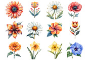 Summer Folk Florals Botanicals, an Illustration by Design Market (Thumbnail 2 of 3)