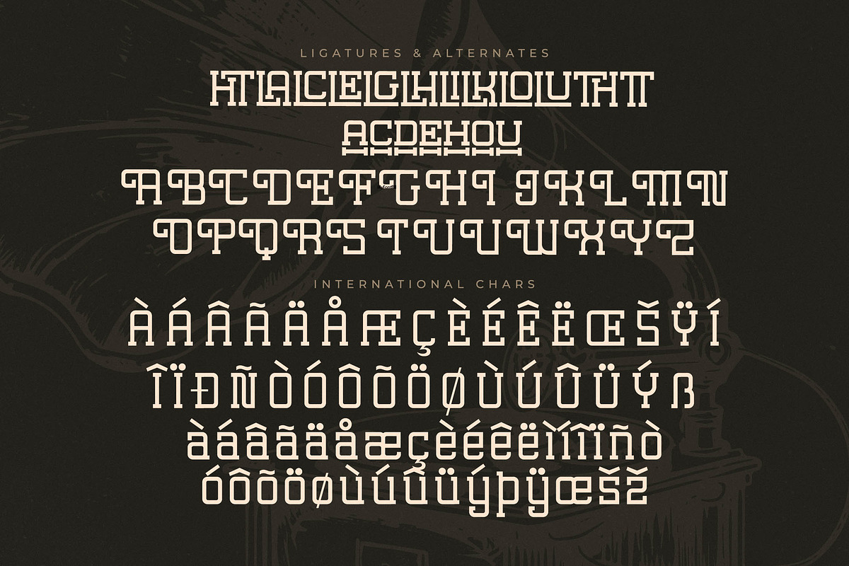 Lastime Echoes Display Slab Serif, a Serif Font by Letterena Studios (Photo 14 of 15)