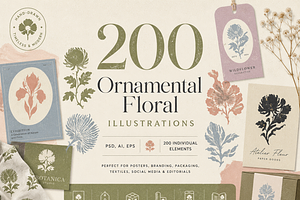 200 Ornamental Floral Illustrations, a Decorative Illustration by ZinetroN
