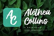 Prestiche - Bold Script, a Script Font by Alpaprana (Thumbnail 3 of 10)