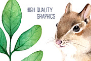 Forest life Watercolor set, an Animal Illustration by Green_leaf_17 (Thumbnail 4 of 4)