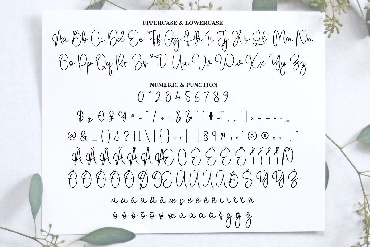 Sunday | Script Font, a Handwritten Font by Scratchones (Photo 7 of 9)