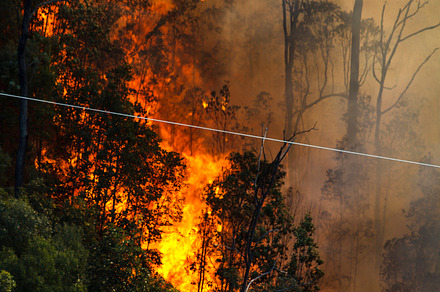 Bushfire near Power Lines