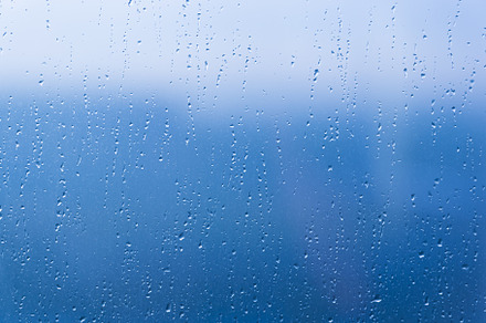 Rain water drops pattern, an Abstract Photo by Vapi