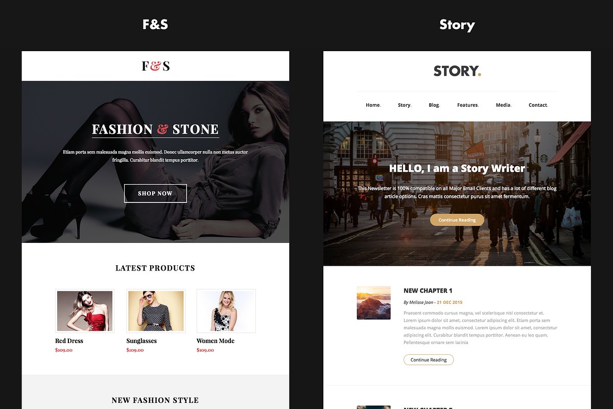Combo#3 - B2+B3 - 14 Email Templates, an Email Template by DynamicXX (Photo 8 of 9)