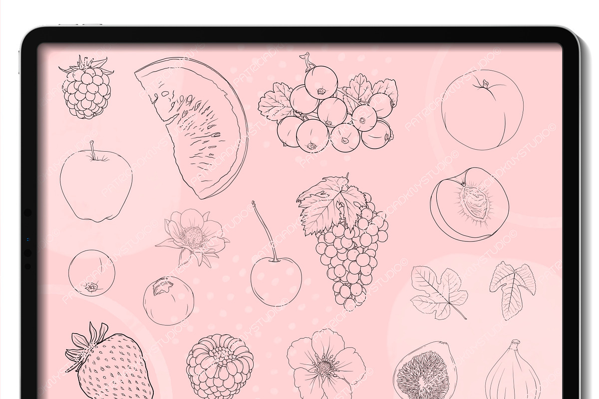 Procreate fruit stamp brushes, a Brush Add-On by PDknyStudio
