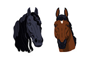 Horse heads set. Stallions breeds, an Animal Illustration by Good Studio (Thumbnail 5 of 12)