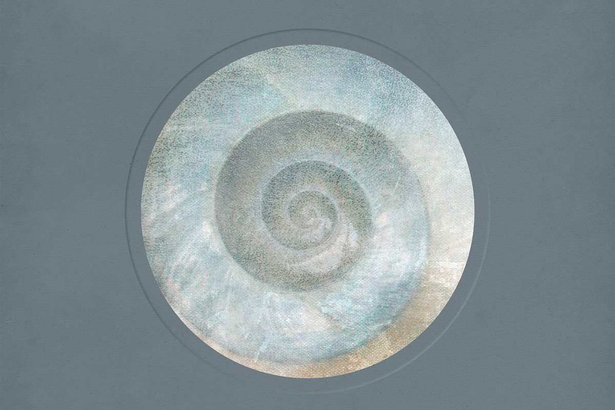 Nacre Pearlescent Backgrounds, a Background Graphic by alonahaidash (Photo 13 of 13)