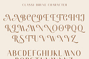 Classy Brune Sans Serif  Typeface, a Sans Serif Font by Typetemp Studio (Thumbnail 19 of 21)
