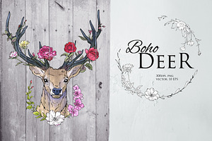 Deer illustration in line and color