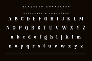 Blackish | Sophisticated Classic, a Serif Font by Masyafi Studio (Thumbnail 3 of 8)
