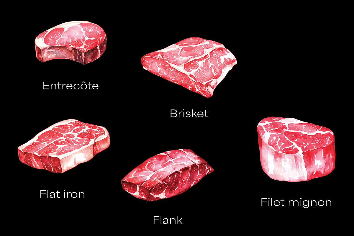 Raw Meat 12 Steak Cuts – Watercolor, an Illustration by Northink (Photo 3 of 4)