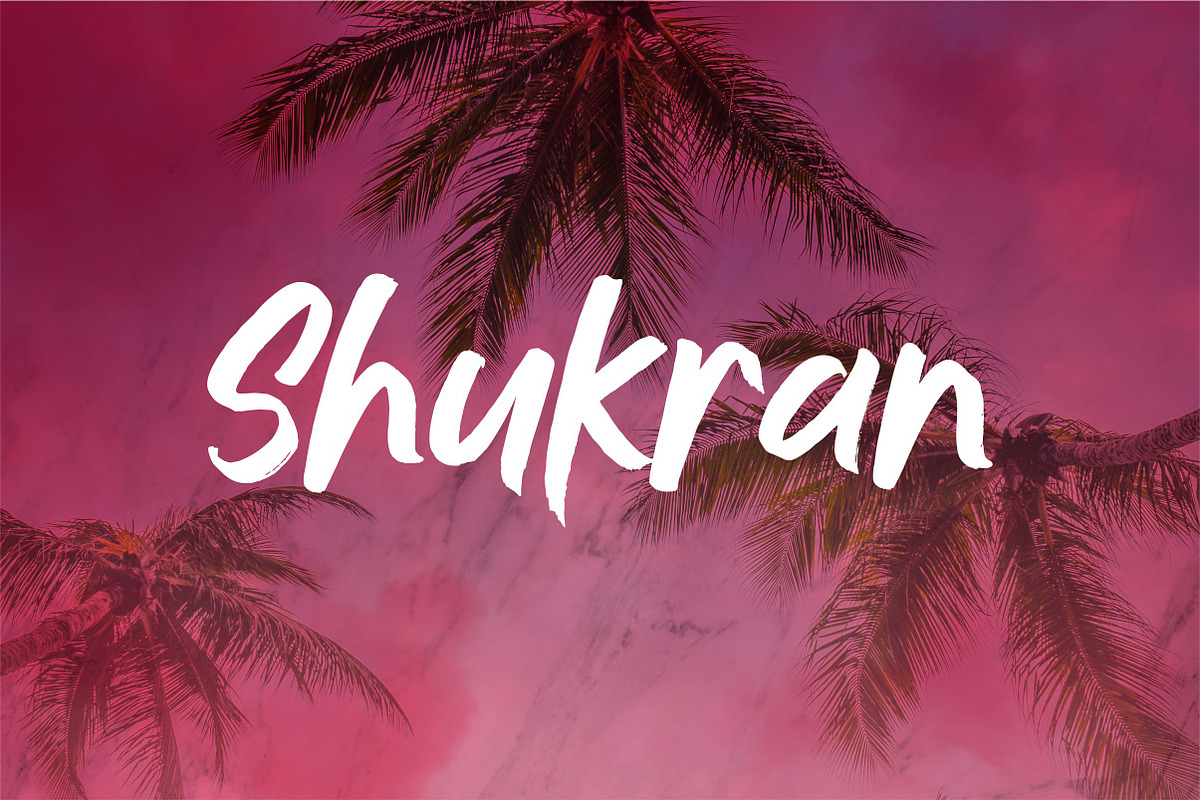 Jushley Shine - BRUSH FONT, a Font by ErgibiStudio (Photo 11 of 11)