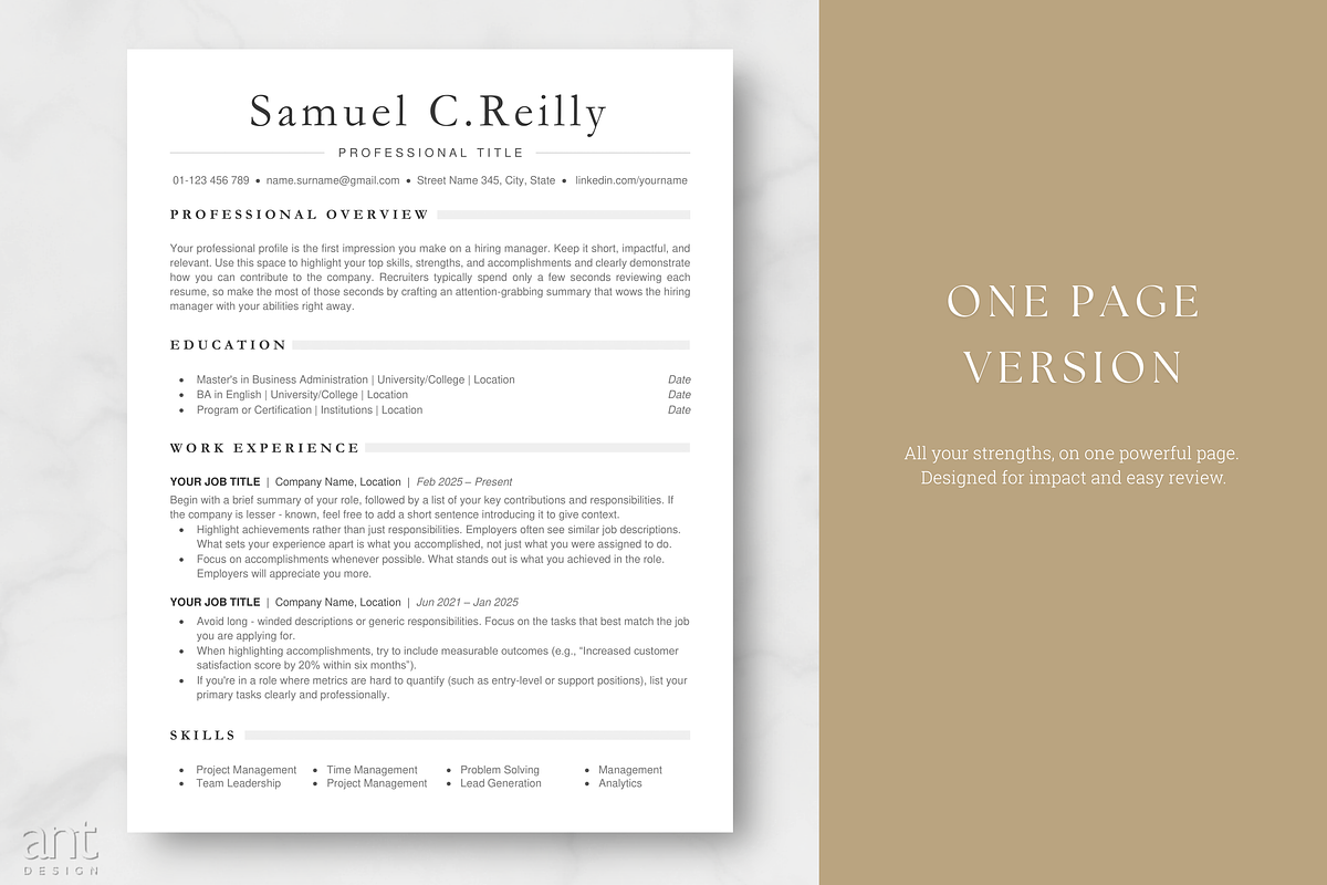 Professional ATS Resume Template preview 2