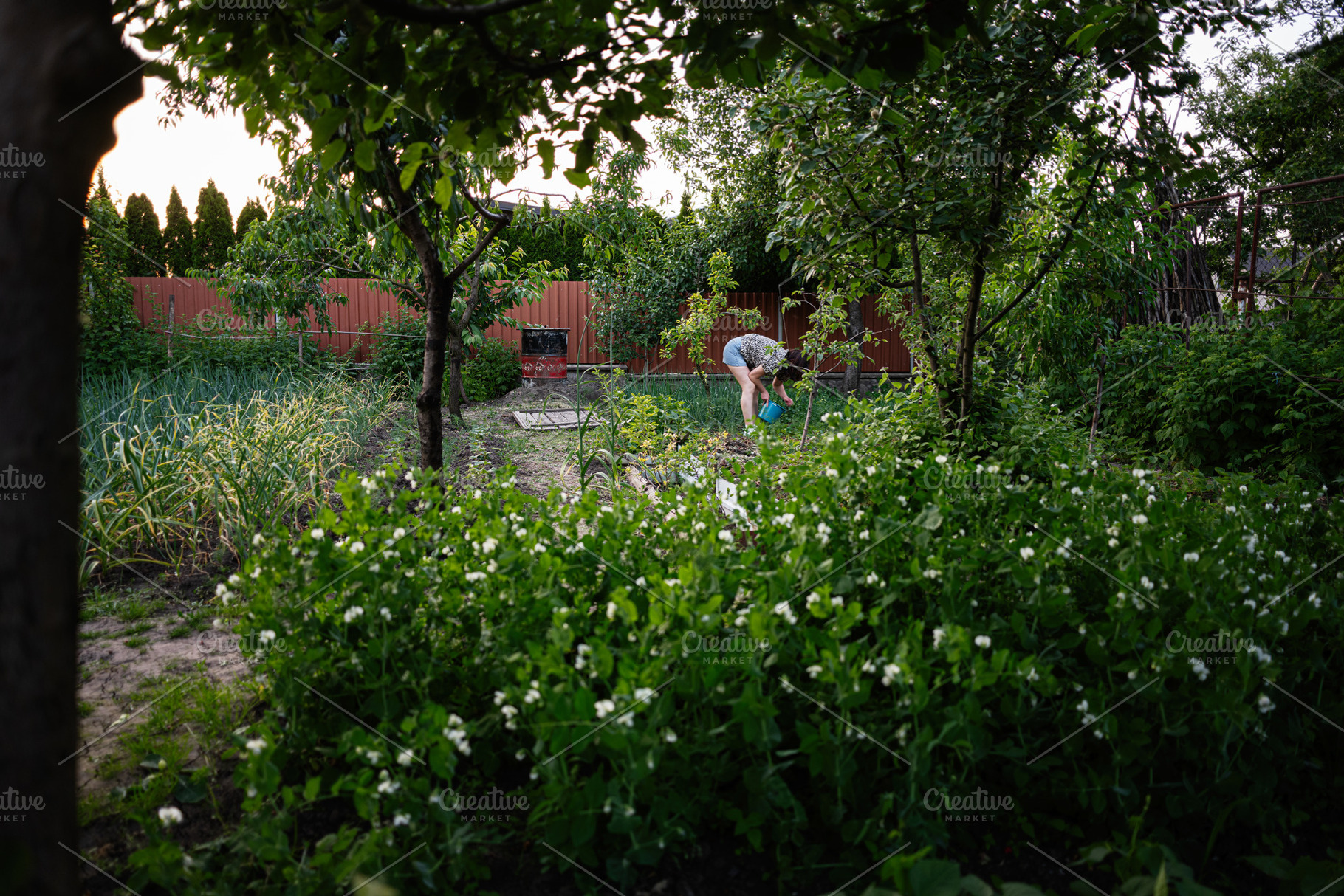 Person tending plants in a lush garden surrounded by greenery, a Person Photo by AS photostudio