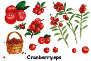 Fruits and berries collection_part 1, an Illustration by ZotovShop (Thumbnail 5 of 20)