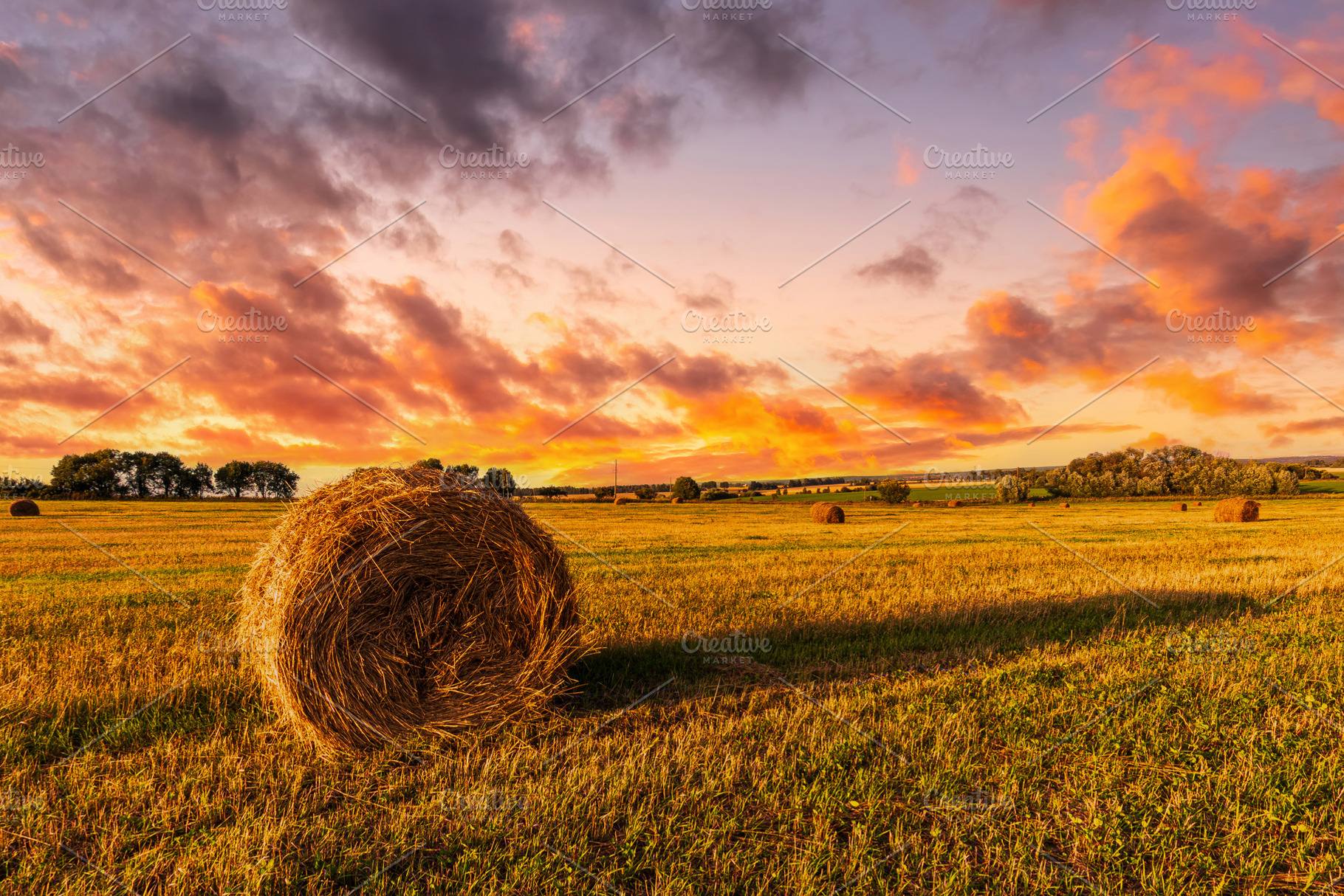 Bale of hay in field under dramatic sunset sky. Golden hour in f, a Nature Photo by Eugene_Photo