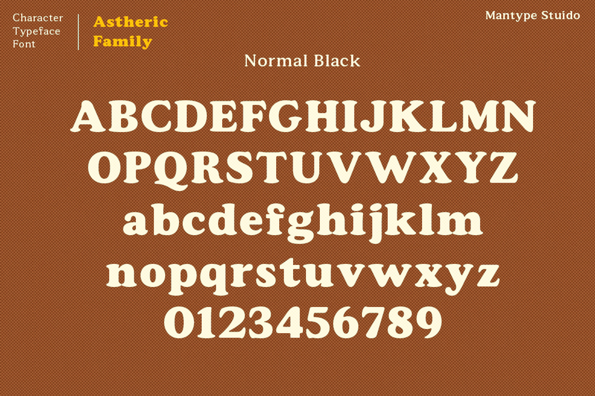 Astheric, a Serif Font by Mantype Studio (Photo 8 of 16)