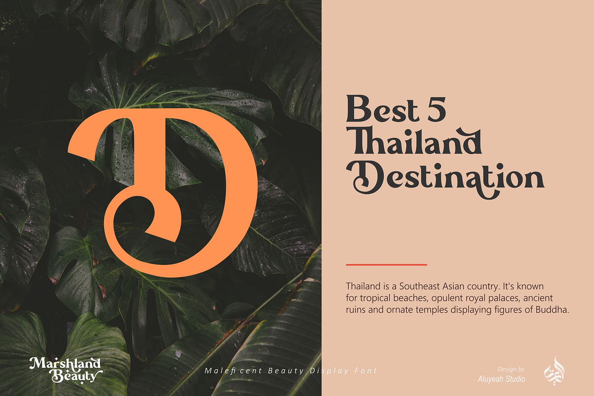 Marshland Beauty, a Font by Aluyeah Studio (Photo 5 of 15)