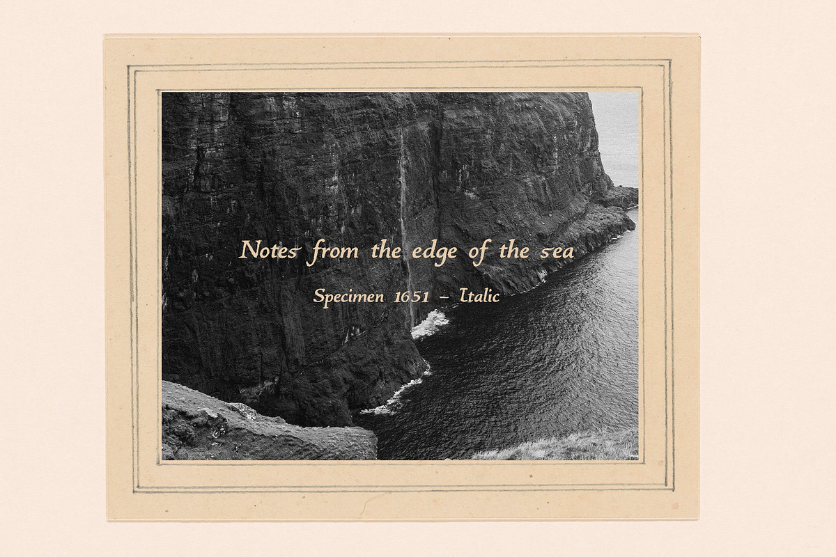 Specimen 1651: Vintage Font Family, a Serif Font by Mneme (Photo 3 of 14)