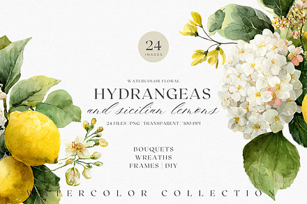 Watercolor Lemons & Hydrangeas