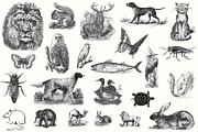 Electrotype Stock Cuts, an Animal Illustration by Blue Line Design (Thumbnail 4 of 19)