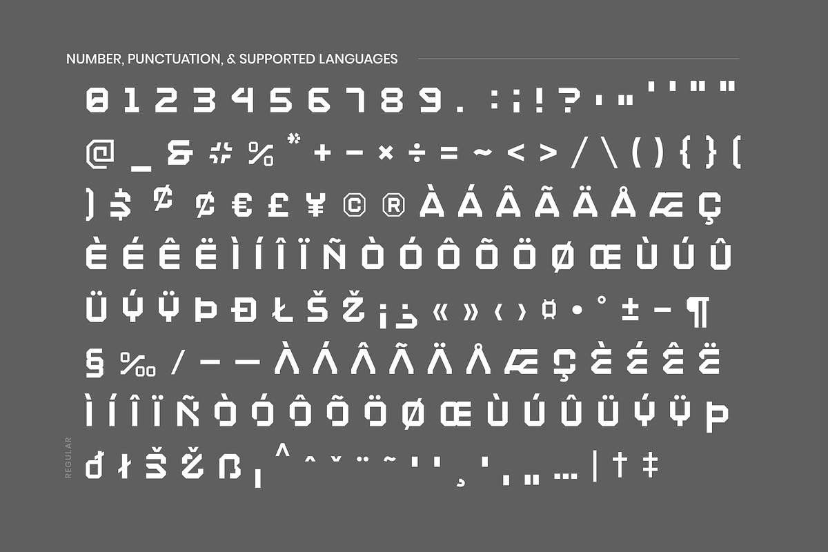 LETRIAL Square Industrial Font, a Sans Serif Font by sentype (Photo 8 of 9)