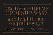 Bagina Elegant Serif Font, a Serif Font by Perfectype (Thumbnail 8 of 8)