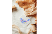 Watercolor Ocean Clipart, an Animal Illustration by Oleksandra Illustrates (Thumbnail 17 of 21)