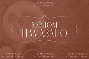 Stolen Love - Elegant serif typeface, a Serif Font by VP Fonts (Thumbnail 26 of 34)