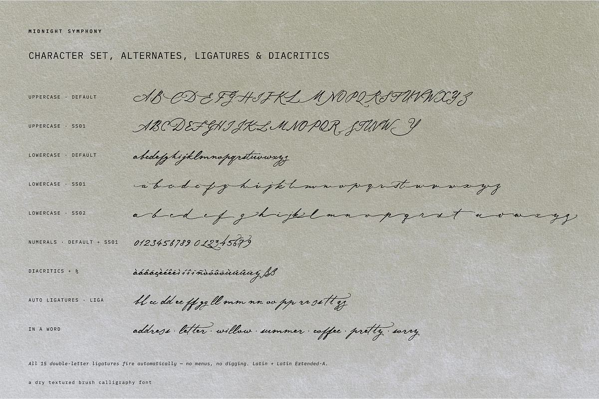 Midnight Symphony // Script font, a Handwritten Font by PeachCreme (Photo 15 of 15)