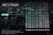 Neo Strada, a Sans Serif Font by Differentialtype (Thumbnail 3 of 9)