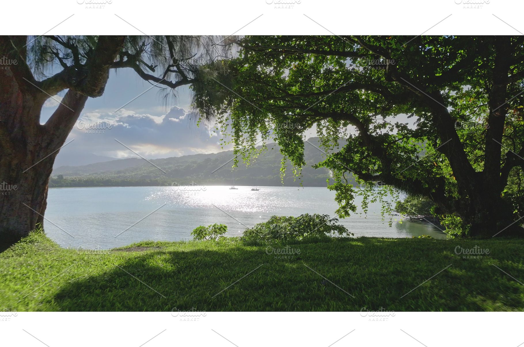 Fiji, Tana Island: Lush vegetation, a Nature Photo by Goinyk