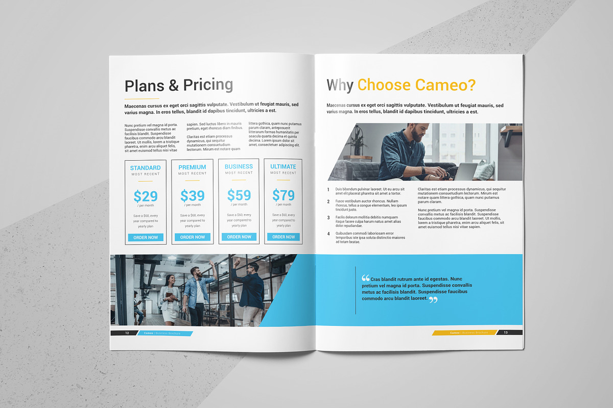 Cameo Business Brochure, a Brochure Template by FathurFateh (Photo 7 of 13)