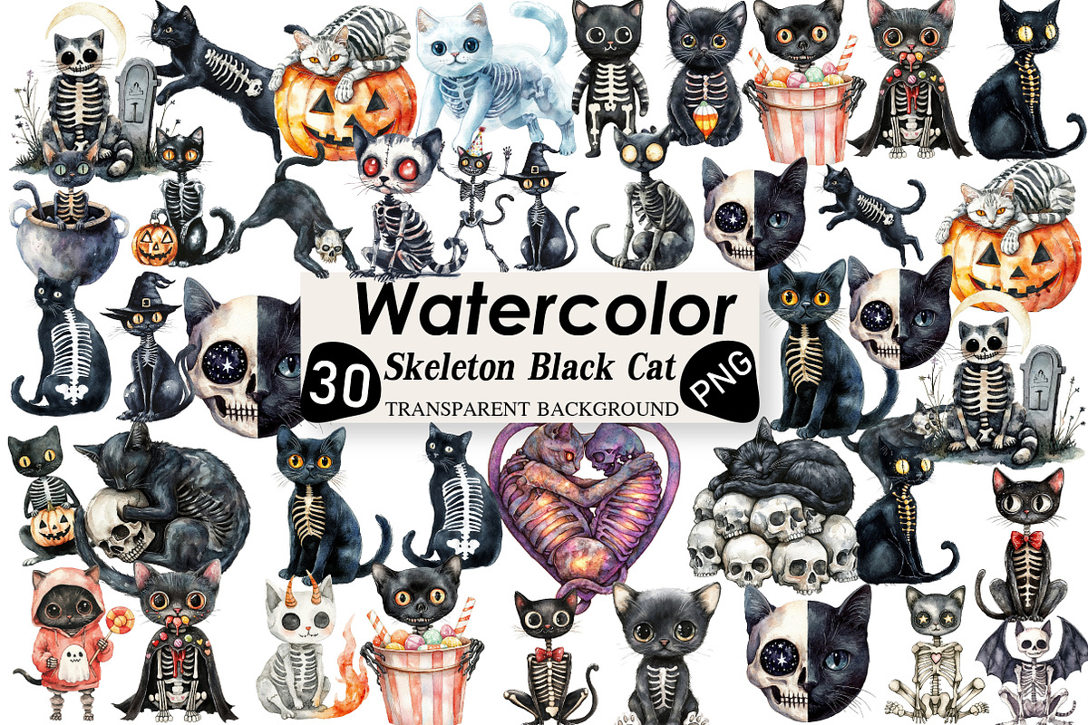 Skeleton Black Cat Clipart, an Illustration by Black Bird Studio (Photo 1 of 6)