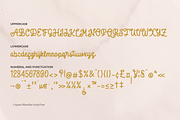 Caspian | Monoline Script, a Script Font by Denustudios (Thumbnail 13 of 15)