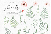 Watercolor Fern and Roses, an Object Illustration by Olga Koelsch (Thumbnail 14 of 15)